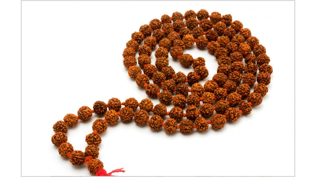 Rudraksh Mala [Pack of 2]