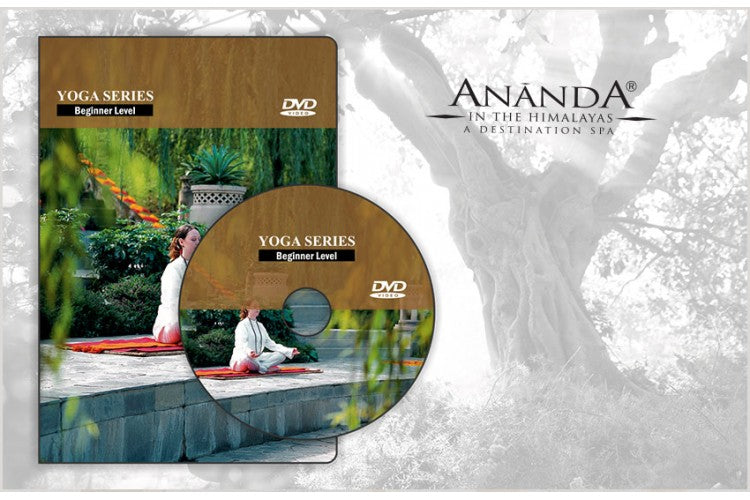 Yoga DVD for beginners